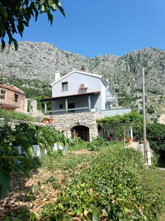Holliday Home Alida With Jacuzzi بودغورا المظهر الخارجي الصورة